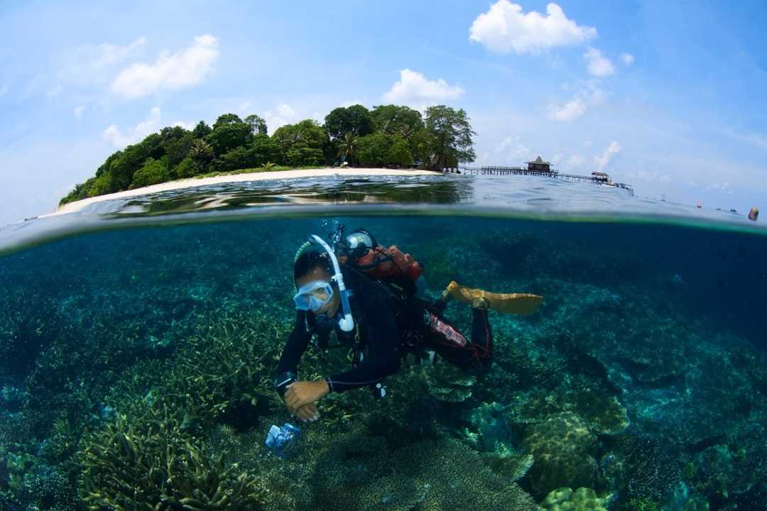 1627438074379_sabah_tourism_diving