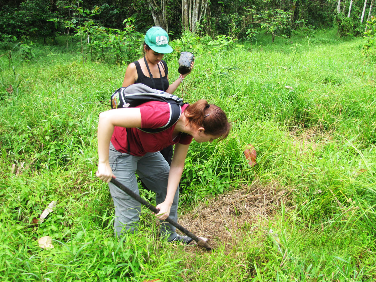 Borneo Eco Tours